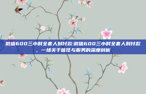 微信600三小时全套人到付款:微信600三小时全套人到付款，一场关于信任与服务的深度剖析