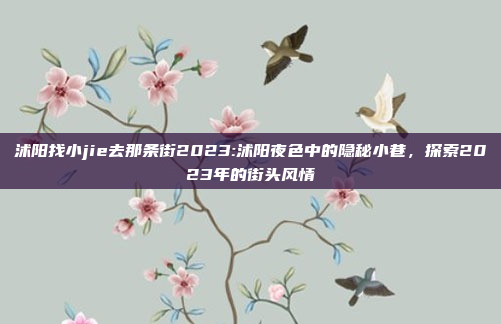 沭阳找小jie去那条街2023:沭阳夜色中的隐秘小巷，探索2023年的街头风情