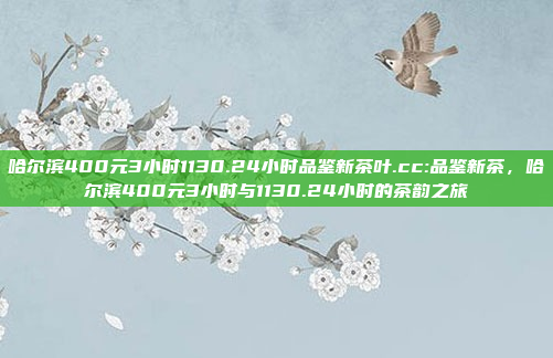 哈尔滨400元3小时1130.24小时品鉴新茶叶.cc:品鉴新茶，哈尔滨400元3小时与1130.24小时的茶韵之旅