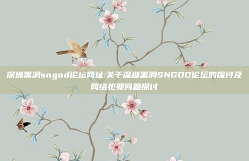 深圳黑洞sngod论坛网址:关于深圳黑洞SNGOD论坛的探讨及网络犯罪问题探讨