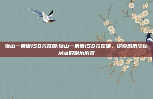 璧山一条街150元在哪:璧山一条街150元在哪，探索城市隐秘角落的娱乐消费