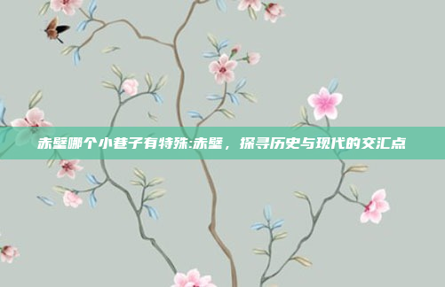 赤壁哪个小巷子有特殊:赤壁，探寻历史与现代的交汇点