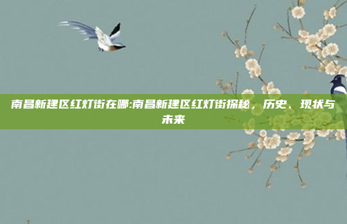 南昌新建区红灯街在哪:南昌新建区红灯街探秘，历史、现状与未来