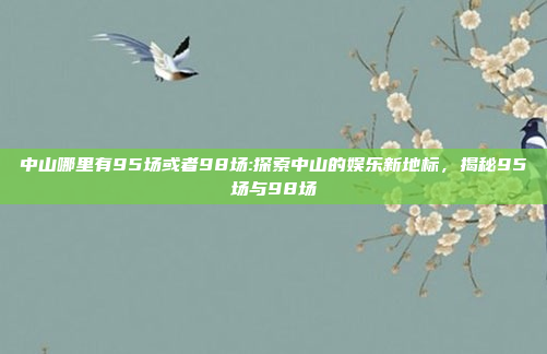 中山哪里有95场或者98场:探索中山的娱乐新地标，揭秘95场与98场