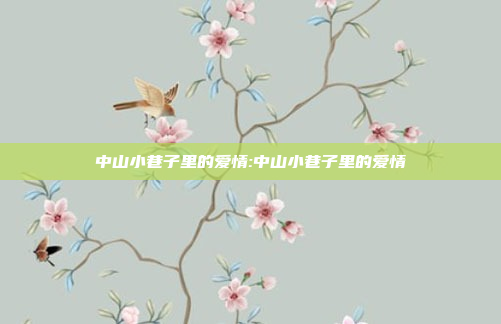 中山小巷子里的爱情:中山小巷子里的爱情