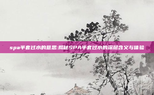 spa半套过水的意思:揭秘SPA半套过水的深层含义与体验