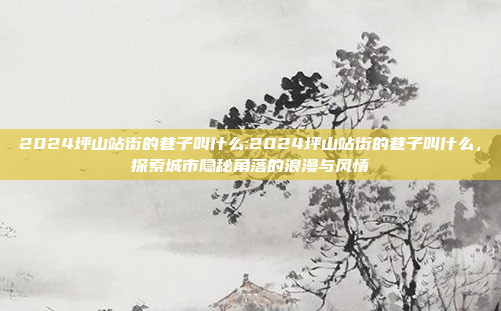 2024坪山站街的巷子叫什么:2024坪山站街的巷子叫什么，探索城市隐秘角落的浪漫与风情