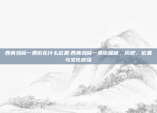 西青鸡窝一条街在什么位置:西青鸡窝一条街探秘，历史、位置与文化底蕴