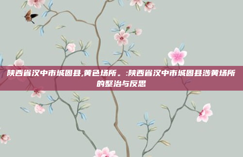 陕西省汉中市城固县,黄色场所。:陕西省汉中市城固县涉黄场所的整治与反思