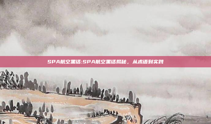 SPA航空黑话:SPA航空黑话揭秘，从术语到实践