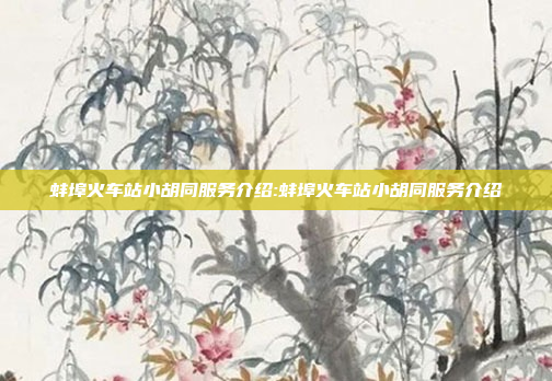 蚌埠火车站小胡同服务介绍:蚌埠火车站小胡同服务介绍