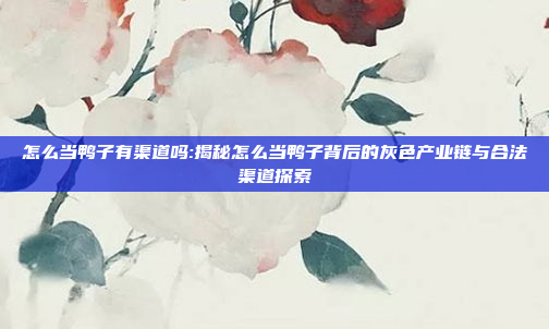 怎么当鸭子有渠道吗:揭秘怎么当鸭子背后的灰色产业链与合法渠道探索