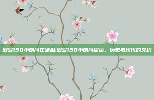 汨罗150小胡同在哪里:汨罗150小胡同探秘，历史与现代的交织