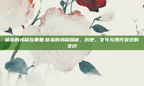 慈溪的鸡窝在哪里:慈溪的鸡窝探秘，历史、文化与现代变迁的交织