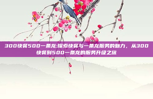 300快餐500一条龙:探索快餐与一条龙服务的魅力，从300快餐到500一条龙的服务升级之旅