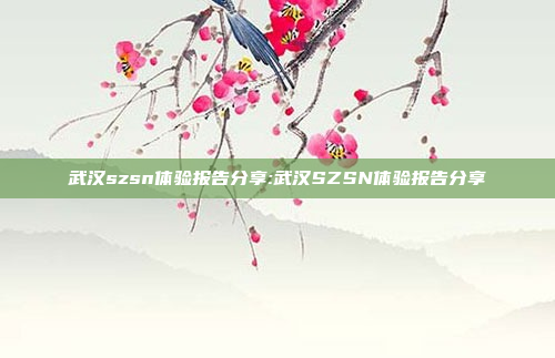 武汉szsn体验报告分享:武汉SZSN体验报告分享