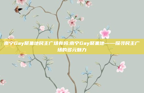 南宁Gay聚集地民主广场有吗:南宁Gay聚集地——探寻民主广场的多元魅力