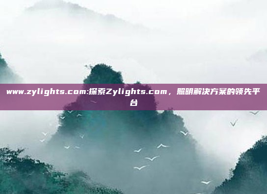 www.zylights.com:探索Zylights.com，照明解决方案的领先平台