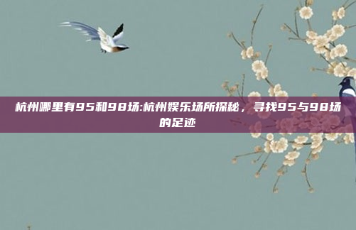 杭州哪里有95和98场:杭州娱乐场所探秘，寻找95与98场的足迹