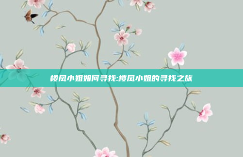 楼凤小姐如何寻找:楼凤小姐的寻找之旅