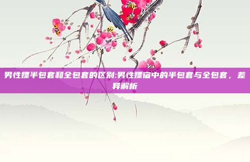 男性嫖半包套和全包套的区别:男性嫖宿中的半包套与全包套，差异解析