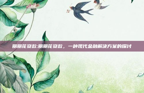 丽丽花贷款:丽丽花贷款，一种现代金融解决方案的探讨