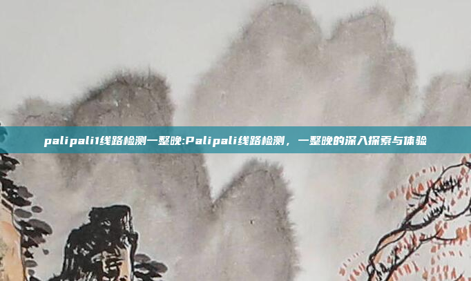 palipali1线路检测一整晚:Palipali线路检测，一整晚的深入探索与体验