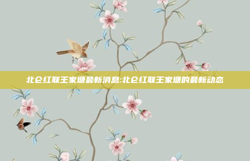 北仑红联王家塘最新消息:北仑红联王家塘的最新动态