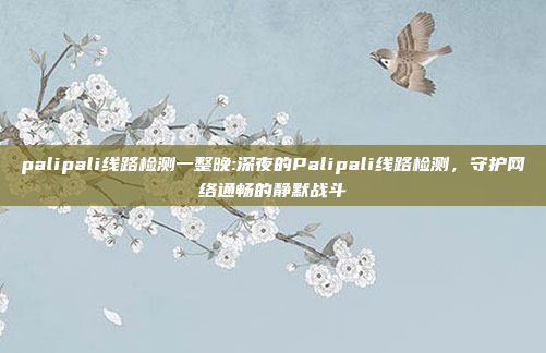 palipali线路检测一整晚:深夜的Palipali线路检测，守护网络通畅的静默战斗