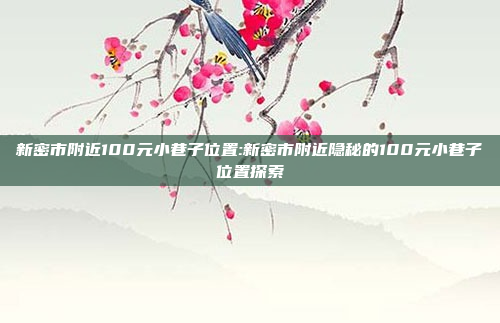 新密市附近100元小巷子位置:新密市附近隐秘的100元小巷子位置探索