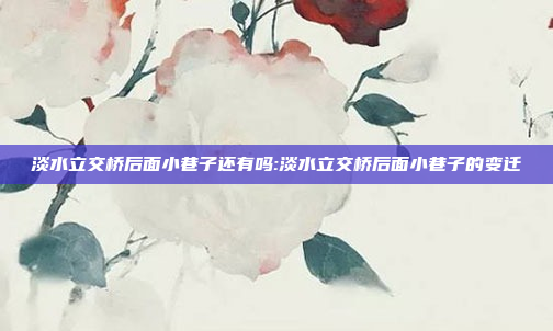 淡水立交桥后面小巷子还有吗:淡水立交桥后面小巷子的变迁