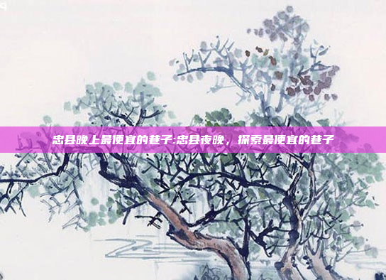 忠县晚上最便宜的巷子:忠县夜晚，探索最便宜的巷子