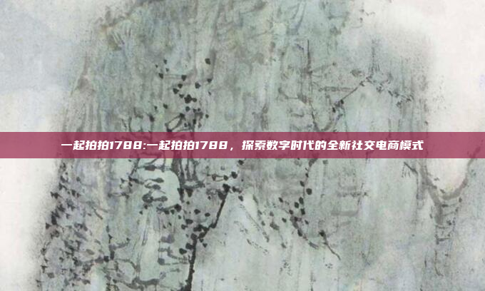 一起拍拍1788:一起拍拍1788，探索数字时代的全新社交电商模式