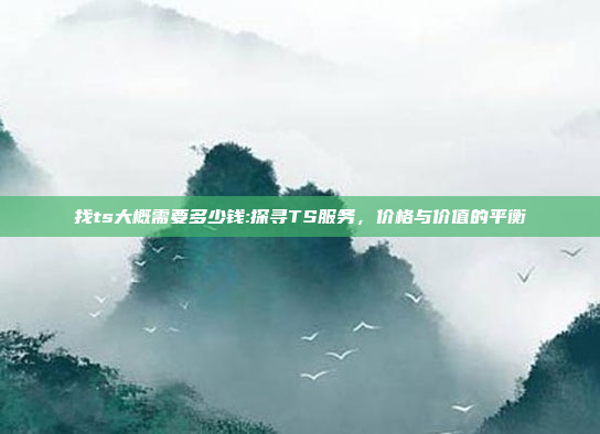 找ts大概需要多少钱:探寻TS服务，价格与价值的平衡