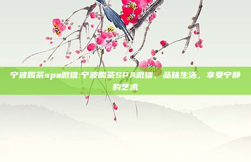 宁波喝茶spa微信:宁波喝茶SPA微信，品味生活，享受宁静的艺术