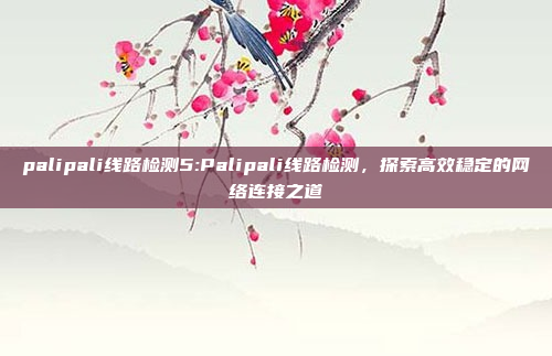 palipali线路检测5:Palipali线路检测，探索高效稳定的网络连接之道