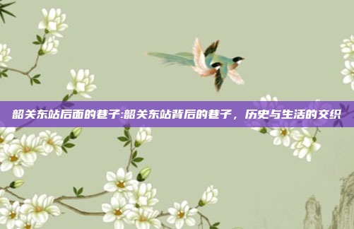 韶关东站后面的巷子:韶关东站背后的巷子，历史与生活的交织