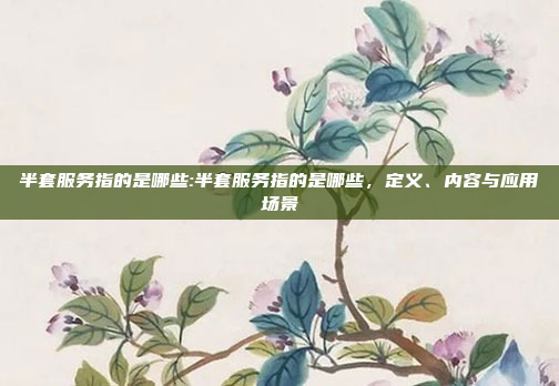 半套服务指的是哪些:半套服务指的是哪些，定义、内容与应用场景