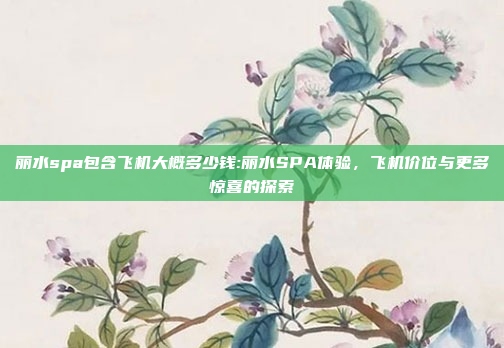 丽水spa包含飞机大概多少钱:丽水SPA体验，飞机价位与更多惊喜的探索