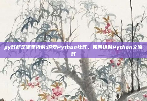 py群都是哪里找的:探索Python社群，如何找到Python交流群